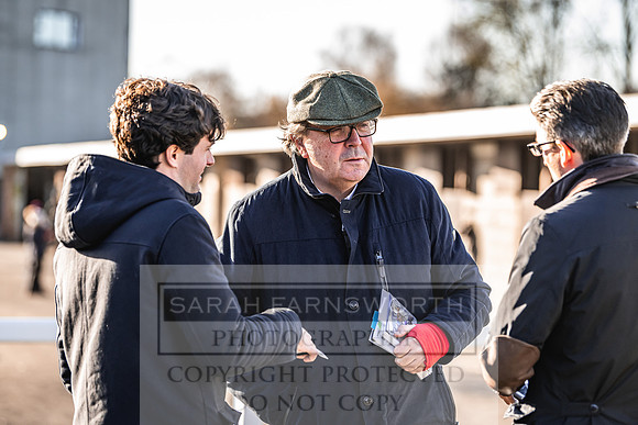 Goffs Nov Breeding Stock Sale 22-250
