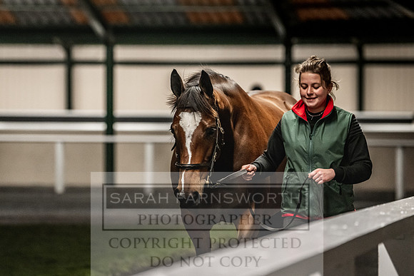 Goffs Nov Breeding Stock Sale 22-430