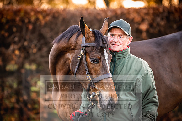 Goffs Nov Breeding Stock Sale 22-66