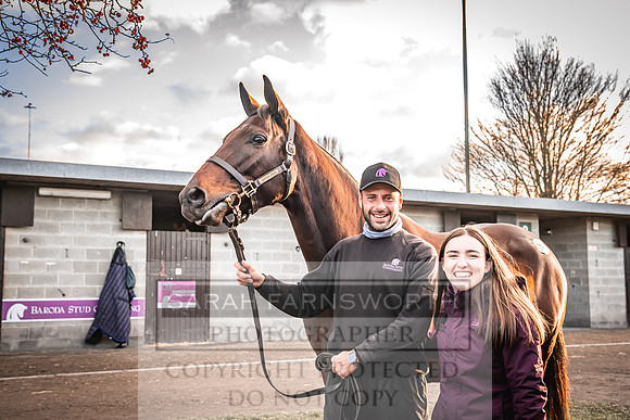 Goffs Nov Breeding Stock Sale 22-314