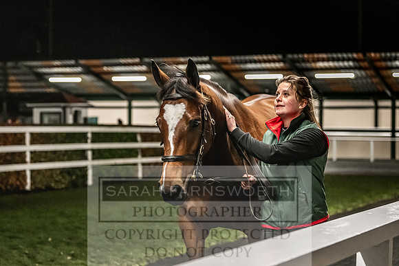 Goffs Nov Breeding Stock Sale 22-432