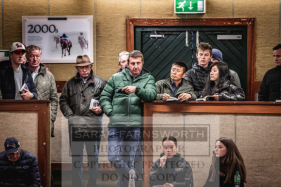 Goffs Nov Breeding Stock Sale 22-258
