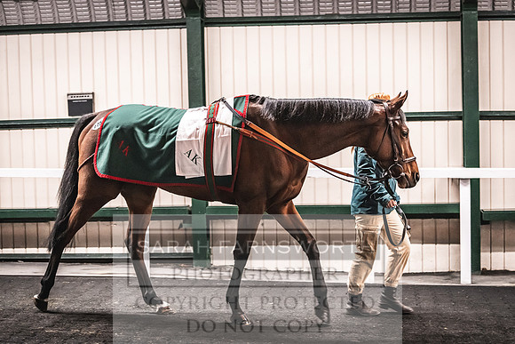 Goffs Nov Breeding Stock Sale 22-401