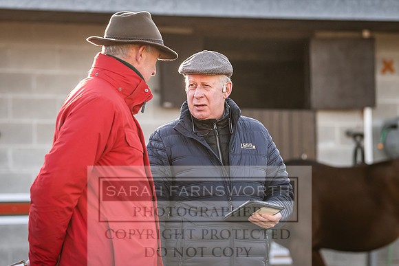 Goffs Nov Breeding Stock Sale 22-129