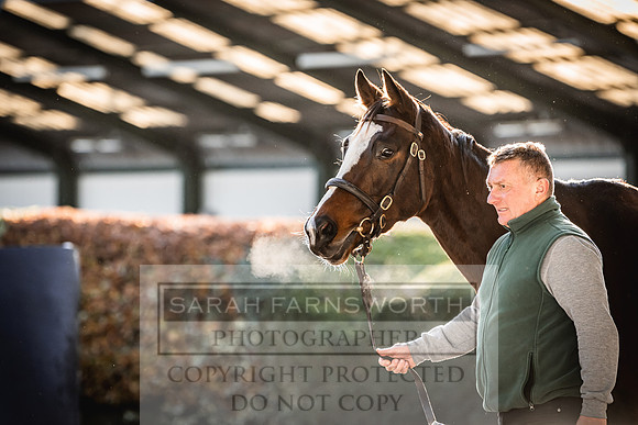 Goffs Nov Breeding Stock Sale 22-219