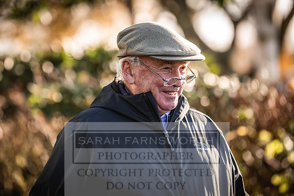 Goffs Nov Breeding Stock Sale 22-246