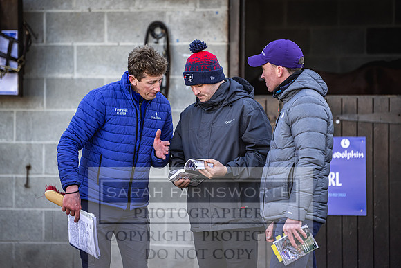 Goffs Nov Breeding Stock Sale 22-199