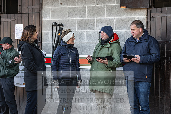 Goffs Nov Breeding Stock Sale 22-114