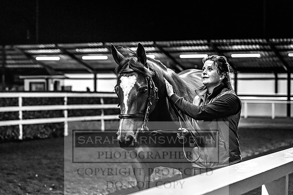 Goffs Nov Breeding Stock Sale 22-431