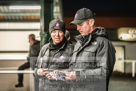 Goffs Nov Breeding Stock Sale 22-436