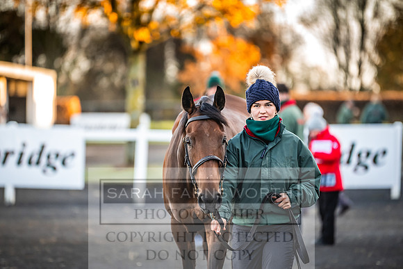 Goffs Nov Breeding Stock Sale 22-87