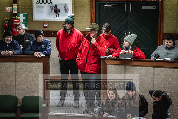 Goffs Nov Breeding Stock Sale 22-422