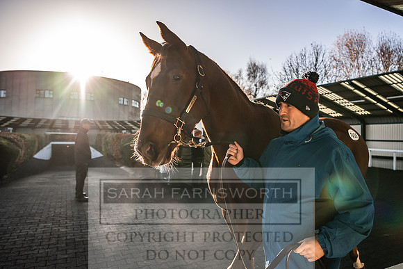 Goffs Nov Breeding Stock Sale 22-151
