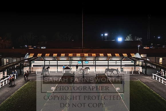 Goffs Nov Breeding Stock Sale 22-370