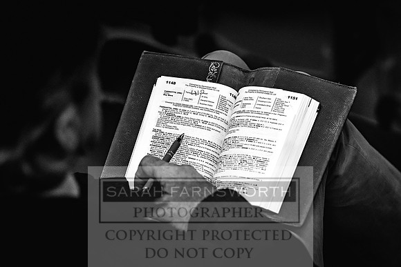 Goffs Nov Breeding Stock Sale 22-261