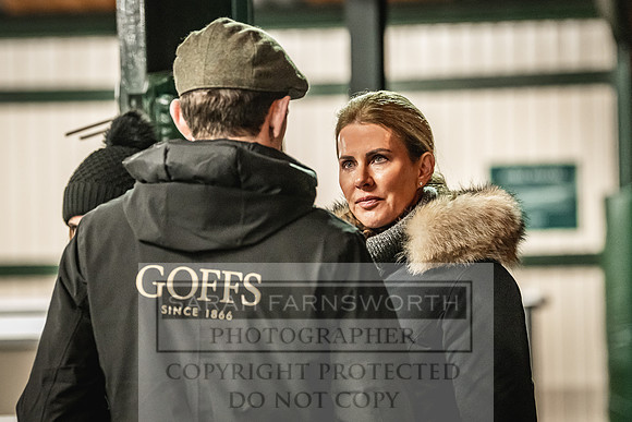 Goffs Nov Breeding Stock Sale 22-435