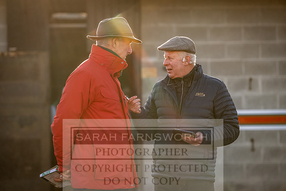 Goffs Nov Breeding Stock Sale 22-131