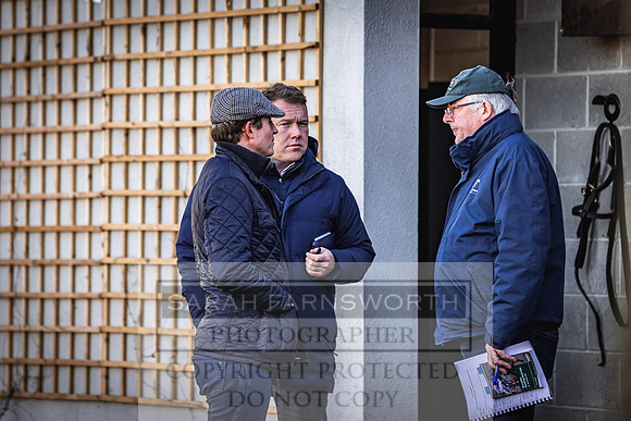 Goffs Nov Breeding Stock Sale 22-174