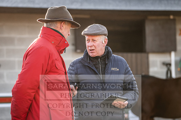 Goffs Nov Breeding Stock Sale 22-130