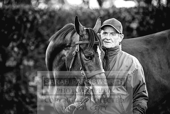 Goffs Nov Breeding Stock Sale 22-65