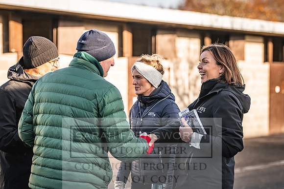 Goffs Nov Breeding Stock Sale 22-119