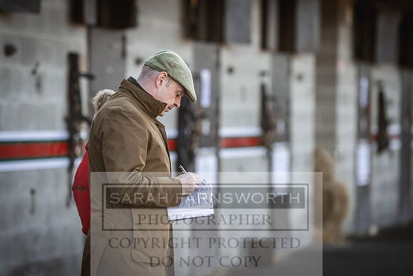 Goffs Nov Breeding Stock Sale 22-254