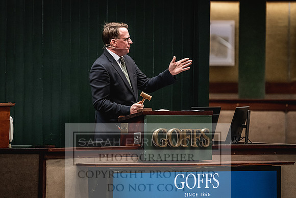 Goffs Nov Breeding Stock Sale 22-449