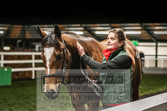Goffs Nov Breeding Stock Sale 22-433