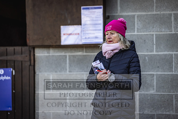 Goffs Nov Breeding Stock Sale 22-194