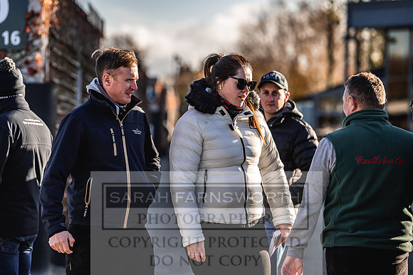 Goffs Nov Breeding Stock Sale 22-249