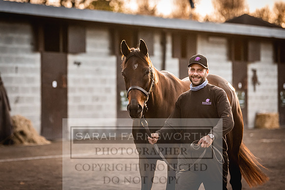 Goffs Nov Breeding Stock Sale 22-315