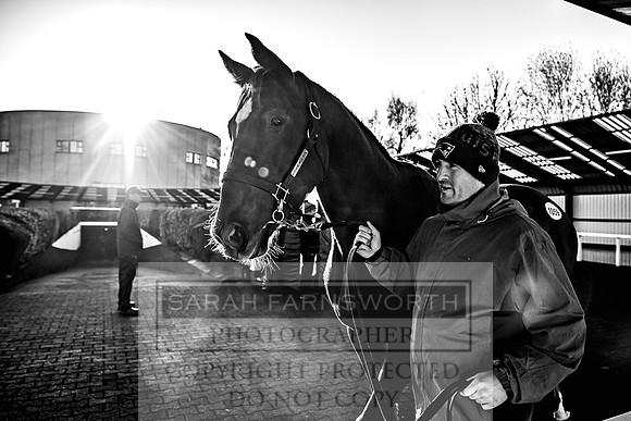 Goffs Nov Breeding Stock Sale 22-150