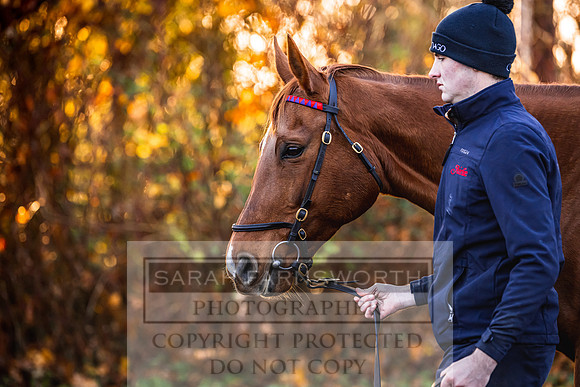 Goffs Nov Breeding Stock Sale 22-111