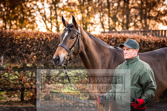 Goffs Nov Breeding Stock Sale 22-63
