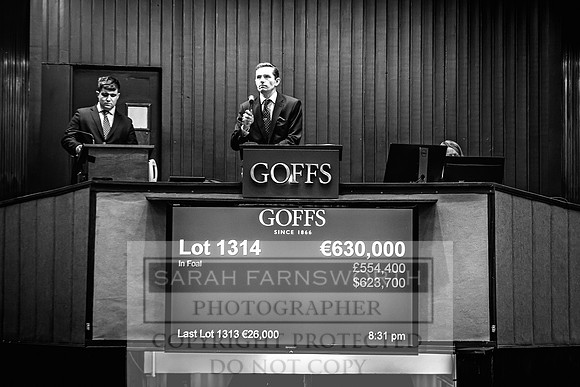 Goffs Nov Breeding Stock Sale 22-455