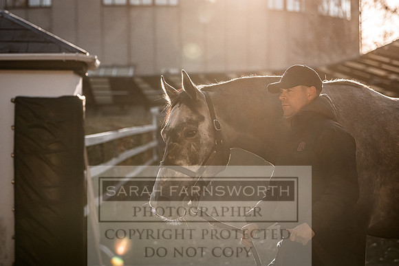 Goffs Nov Breeding Stock Sale 22-162