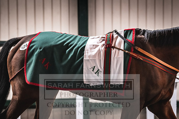 Goffs Nov Breeding Stock Sale 22-402