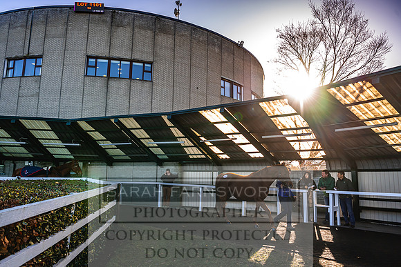 Goffs Nov Breeding Stock Sale 22-185
