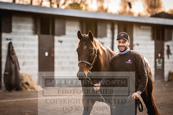 Goffs Nov Breeding Stock Sale 22-316
