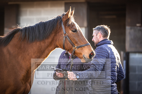 Goffs Nov Breeding Stock Sale 22-173