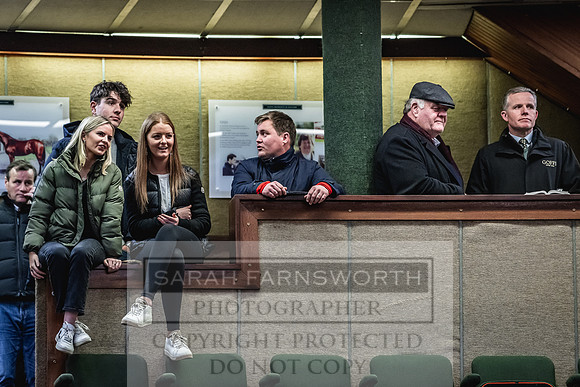 Goffs Nov Breeding Stock Sale 22-463