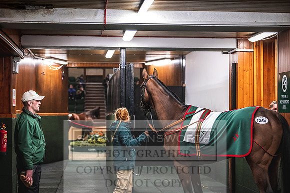 Goffs Nov Breeding Stock Sale 22-414