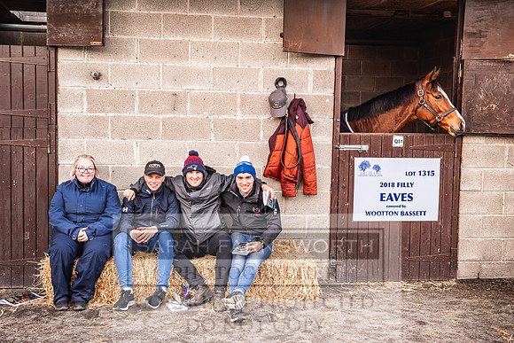 Goffs Nov Breeding Stock Sale 22-322