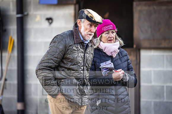 Goffs Nov Breeding Stock Sale 22-195