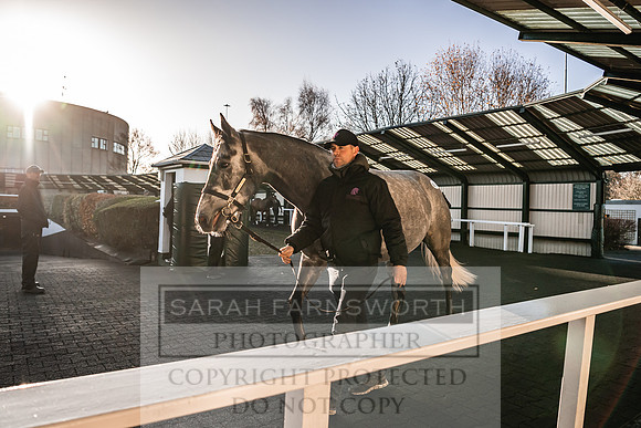 Goffs Nov Breeding Stock Sale 22-153