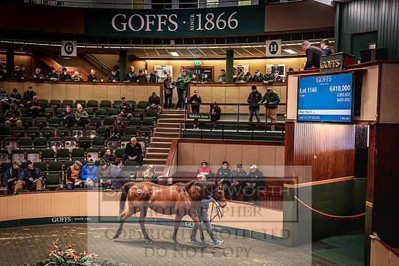 Goffs Nov Breeding Stock Sale 22-259