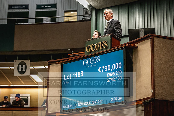 Goffs Nov Breeding Stock Sale 22-304