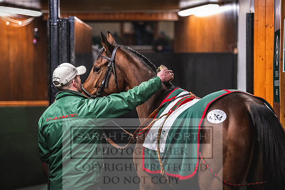 Goffs Nov Breeding Stock Sale 22-409