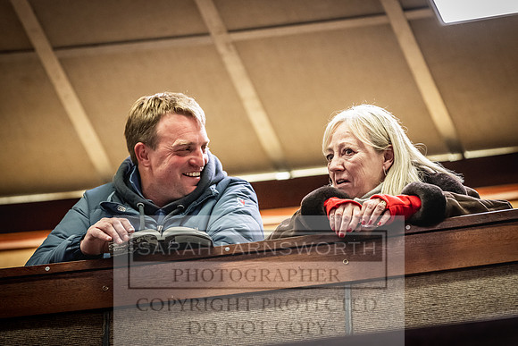 Goffs Nov Breeding Stock Sale 22-353