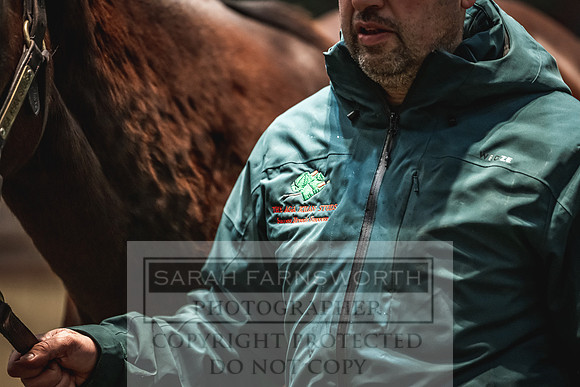 Goffs Nov Breeding Stock Sale 22-391